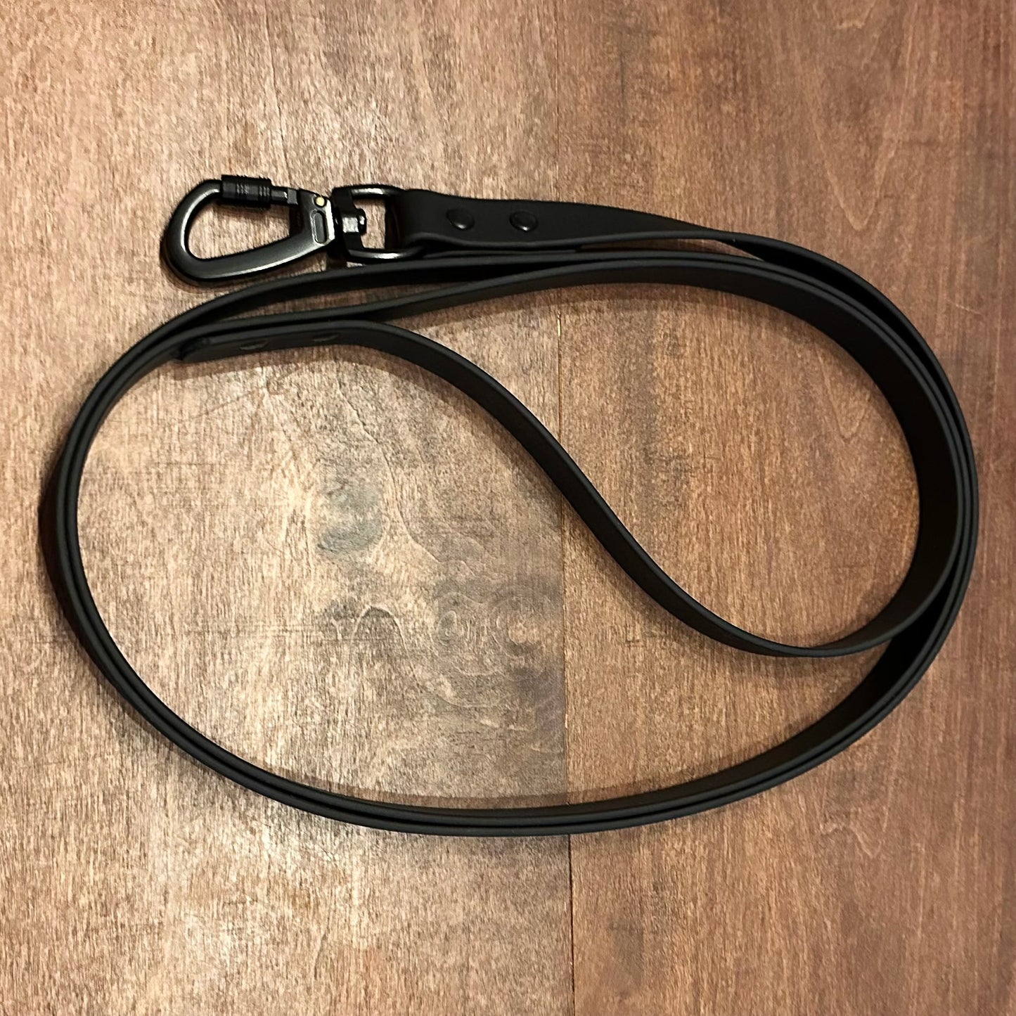 Custom BioThane® Leash