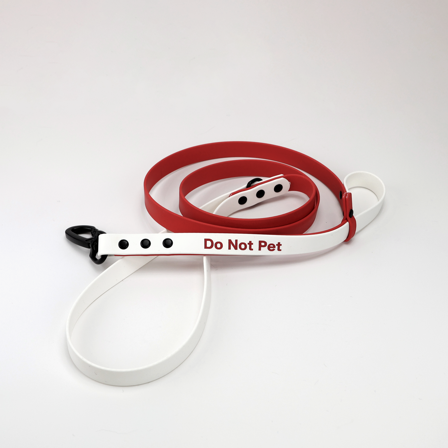 Custom BioThane® Leash