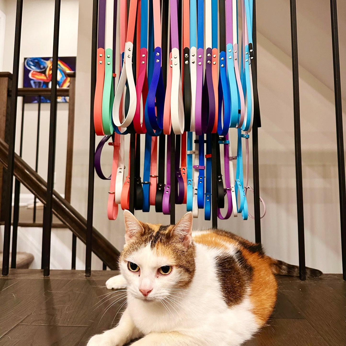 Custom BioThane® Slip Leash With Stopper