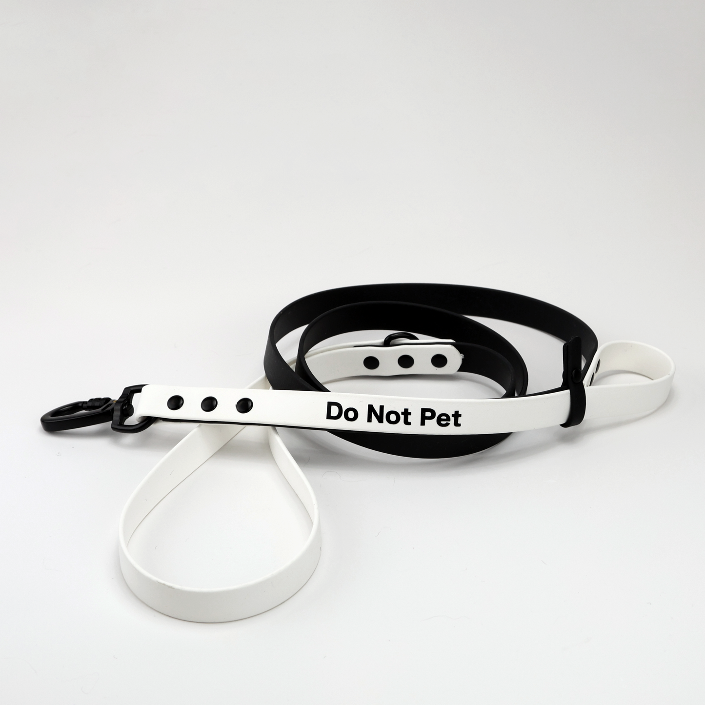 Custom BioThane® Leash