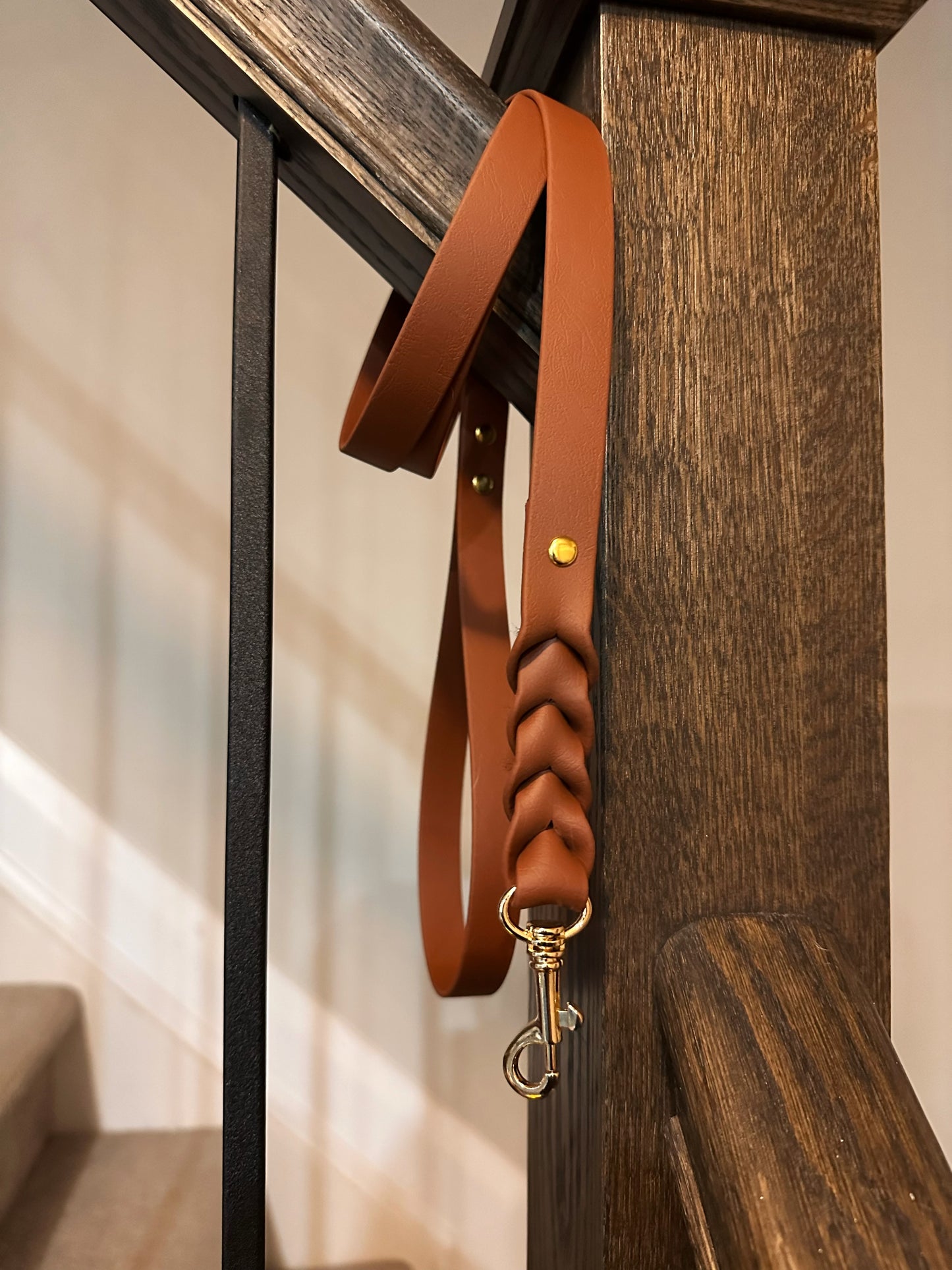 Custom BioThane® Leash