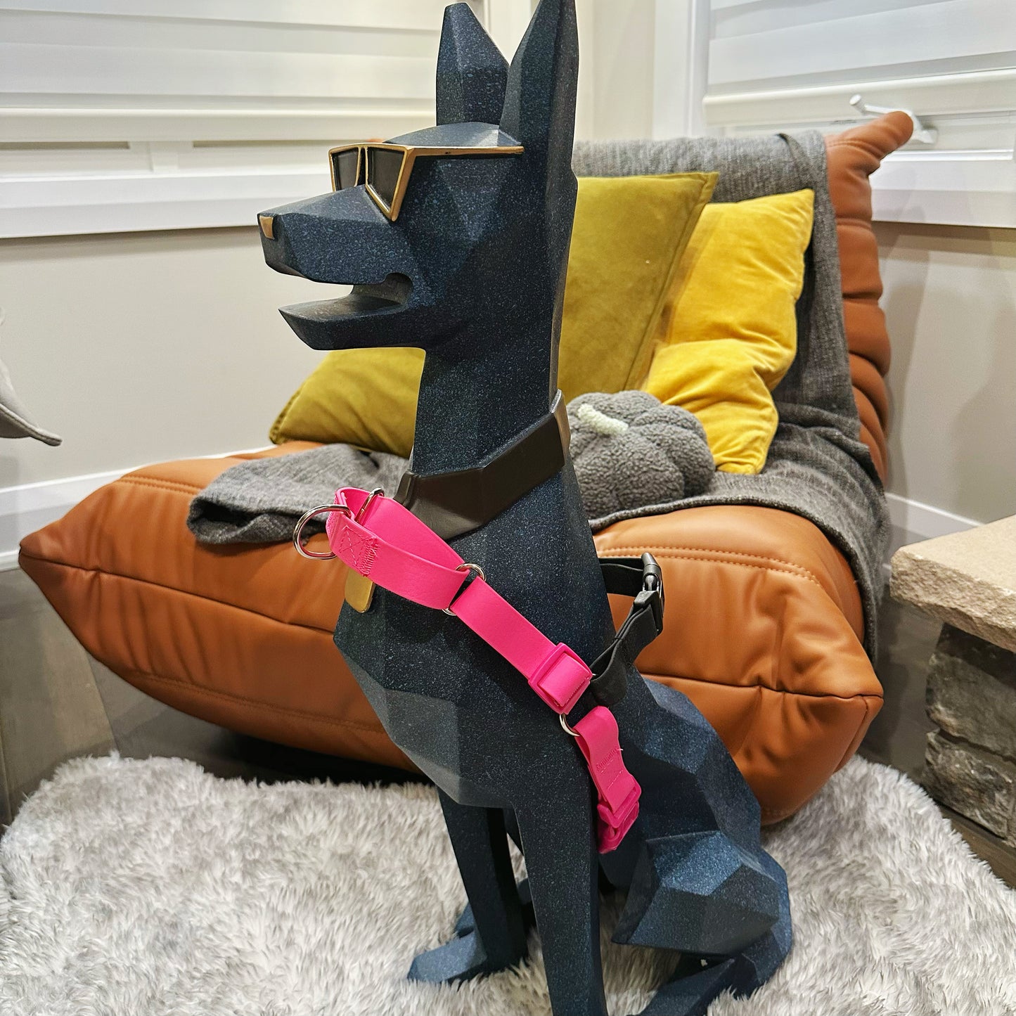 Waterproof Easy Walk Harness & Matching Leash