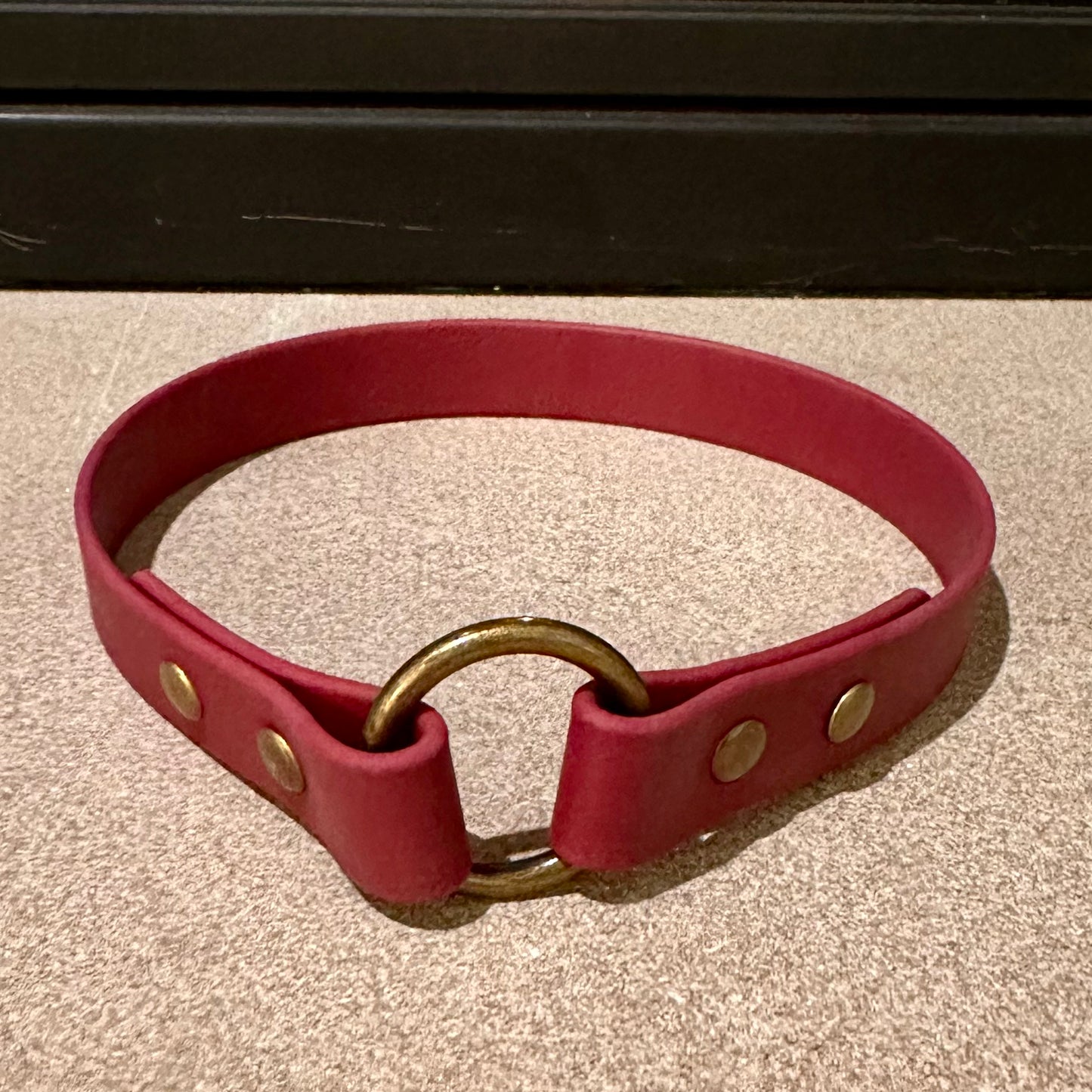 Custom BioThane® Tag Collar