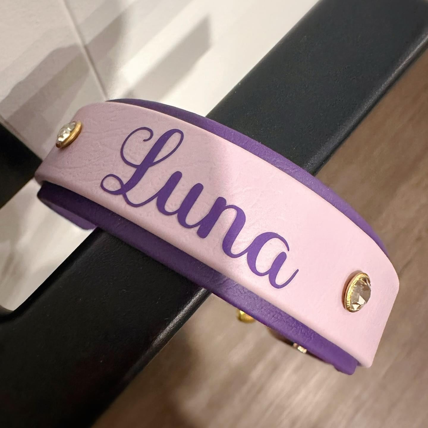 Custom Biothane Heavy Duty Dog Collar