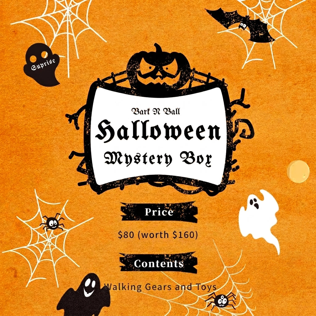 Halloween Mystery Box 3.0