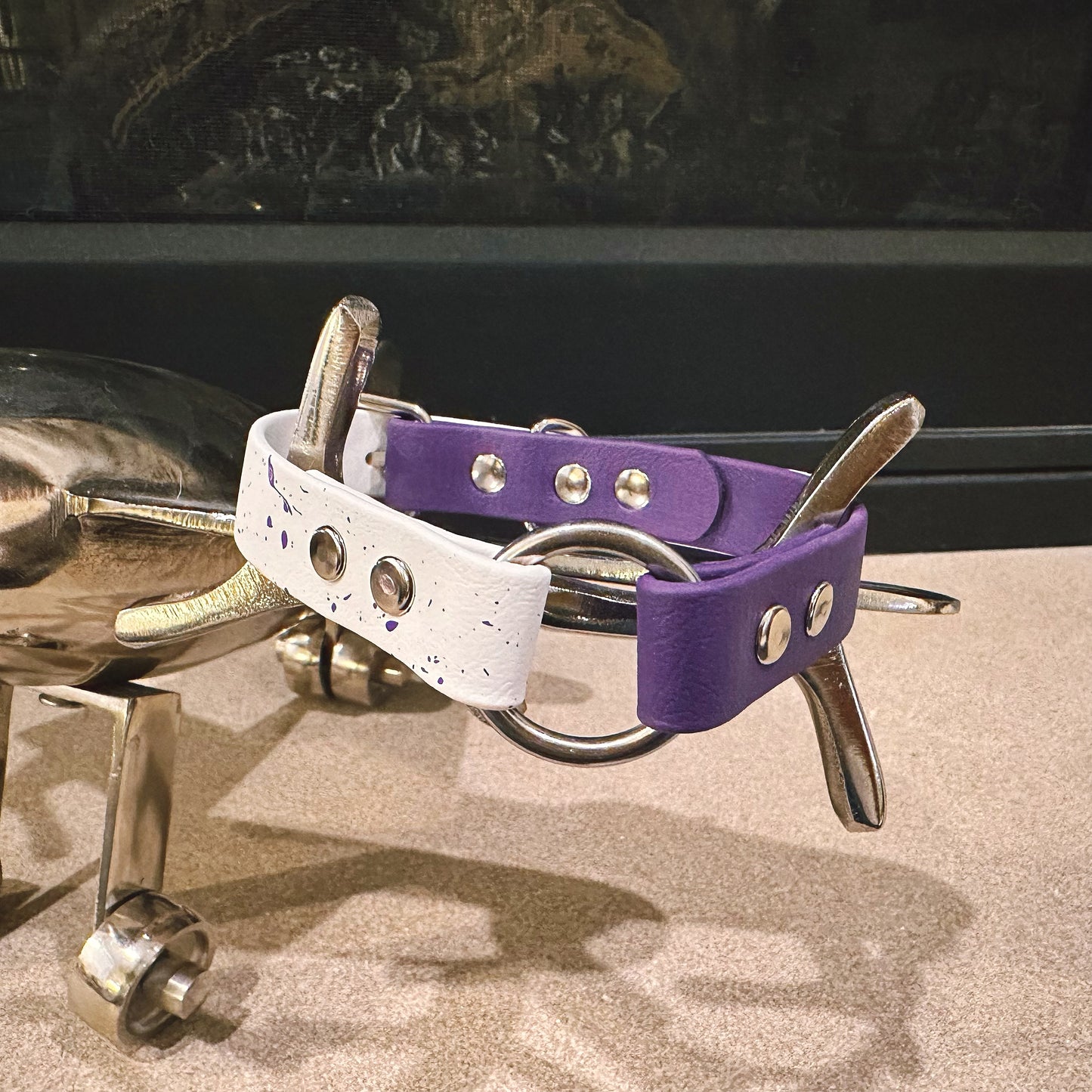 Custom BioThane® Collar