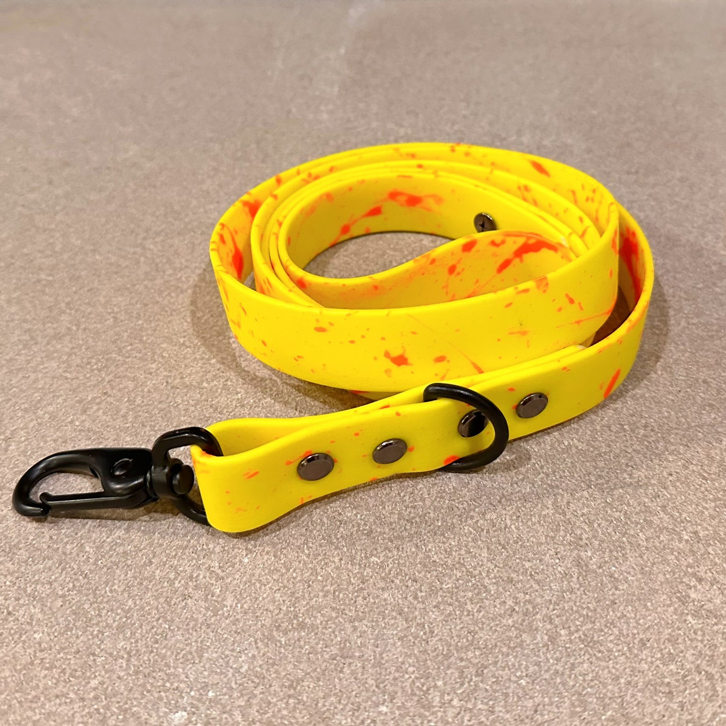 Custom BioThane® Leash