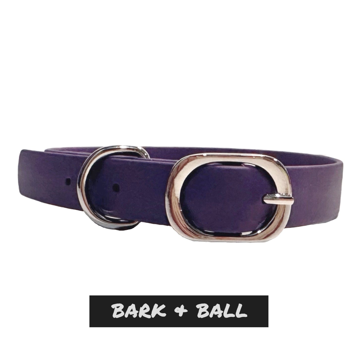 Custom BioThane® Collar