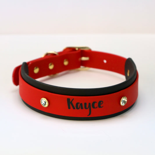 1.5" Two-Tone Custom BioThane® Collar