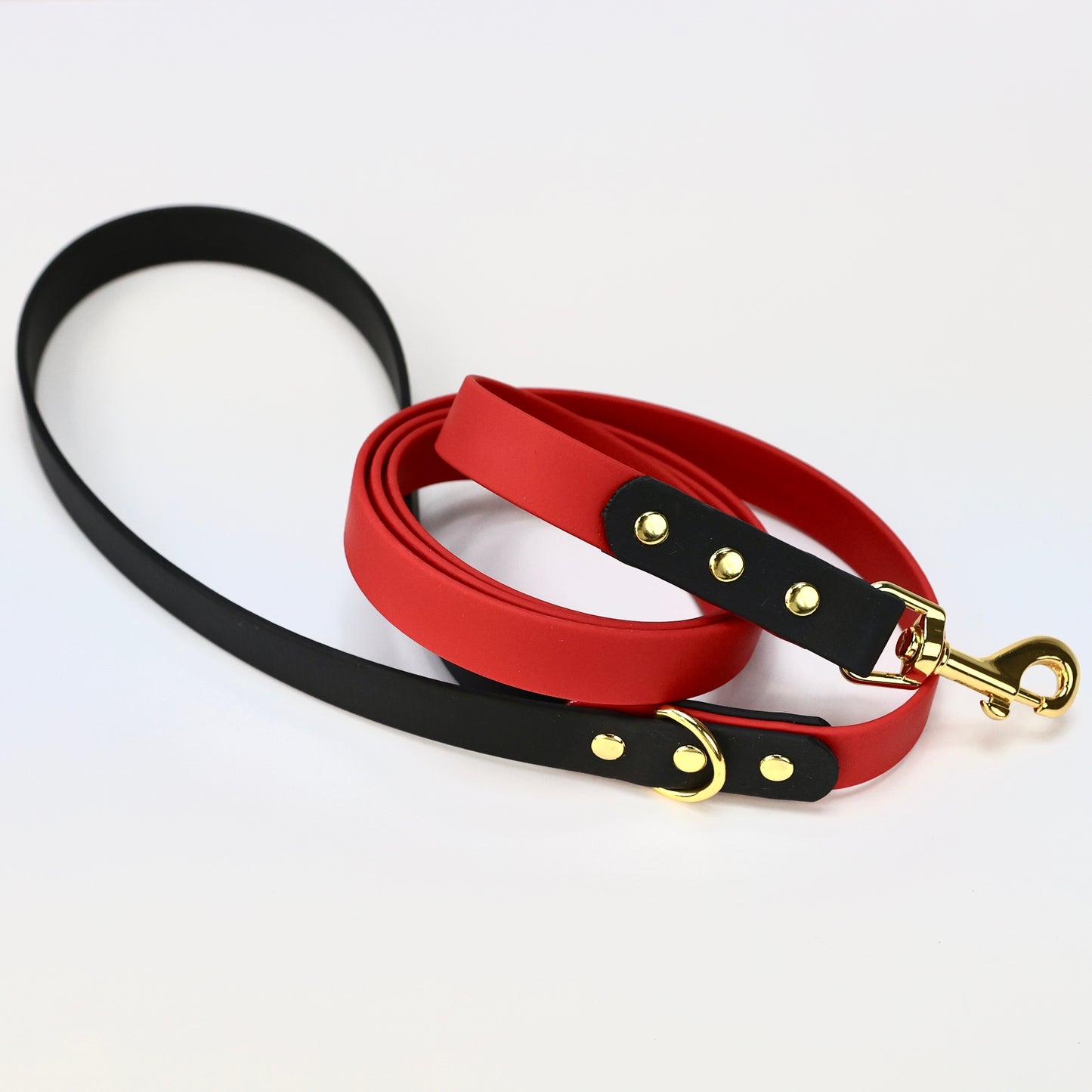 Custom BioThane® Leash