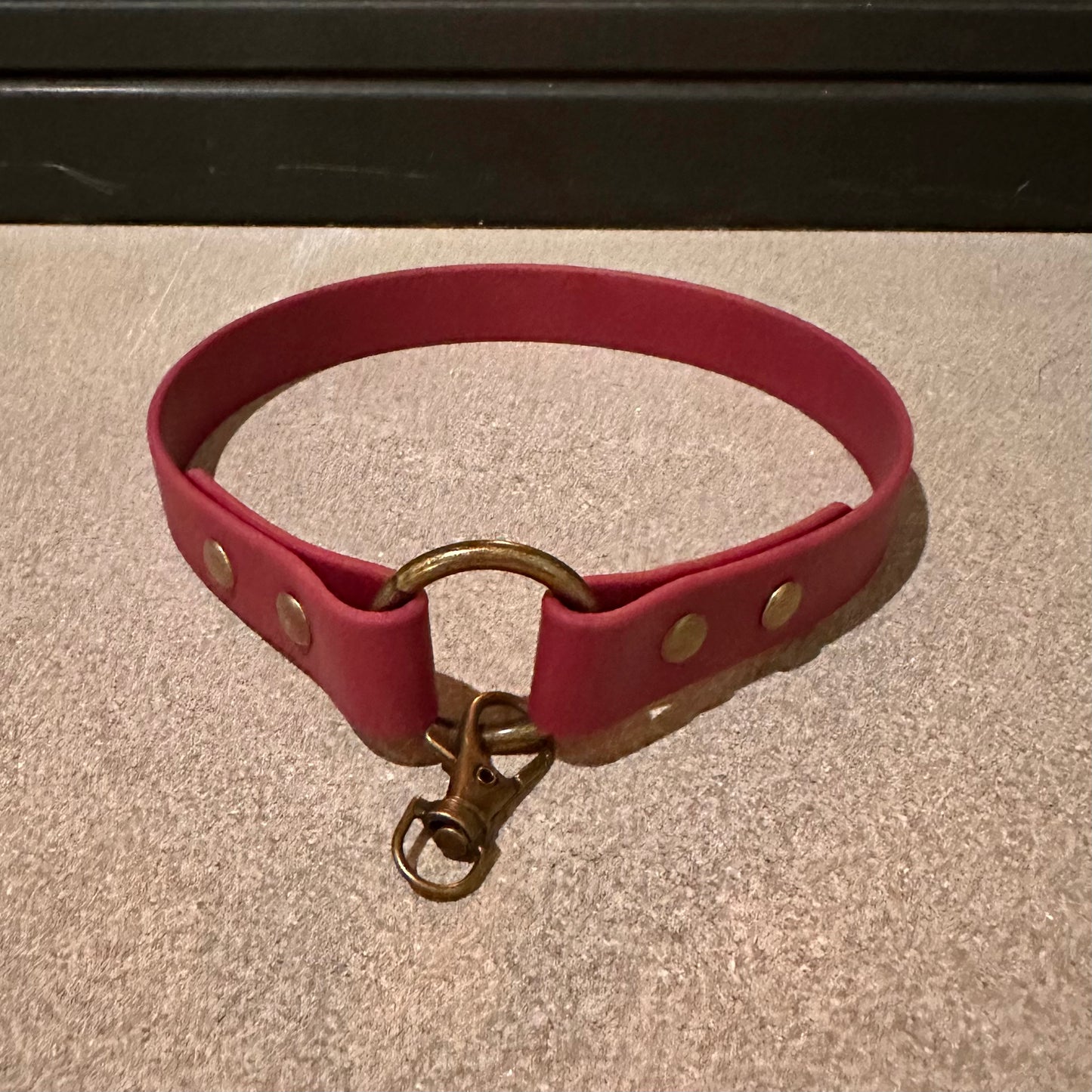 Custom BioThane® Tag Collar