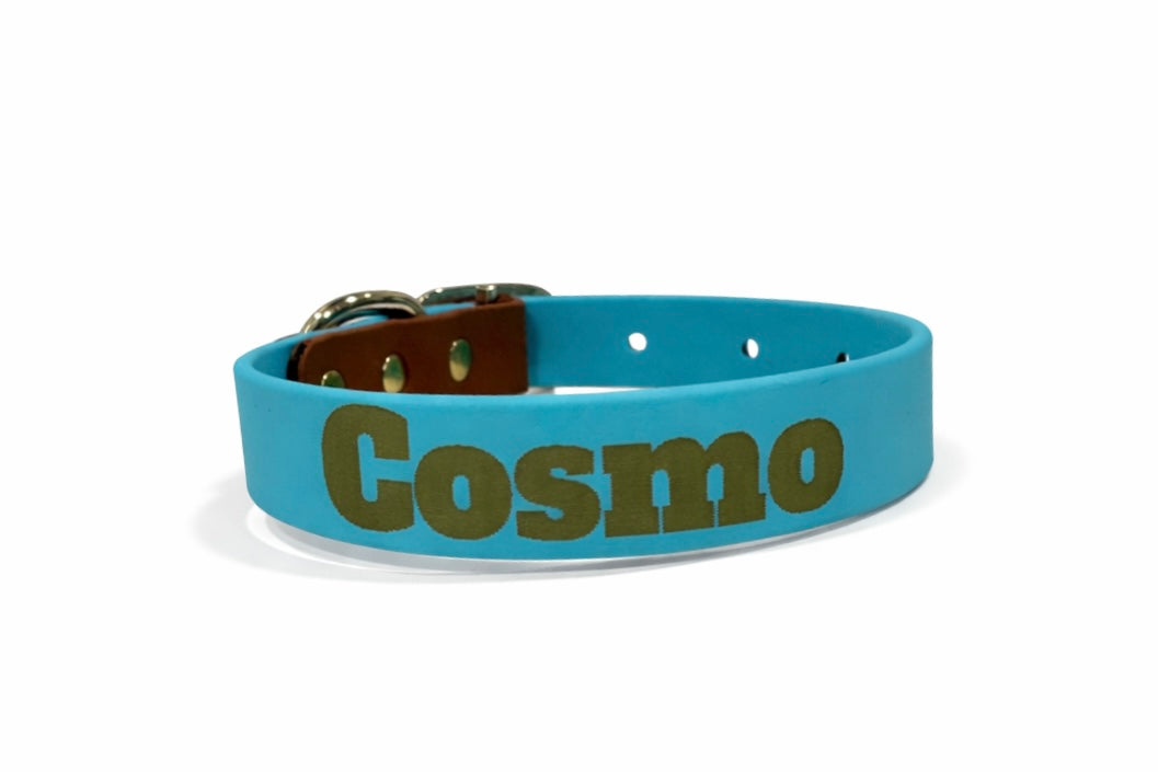 Custom Biothane Everyday Dog Collar