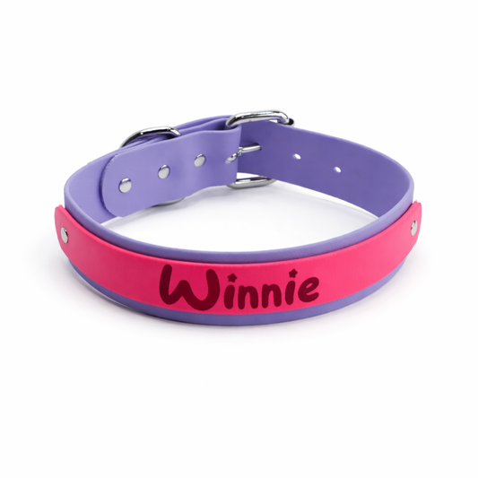 Custom Biothane Everyday Dog Collar