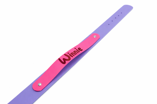 Custom Biothane Everyday Dog Collar