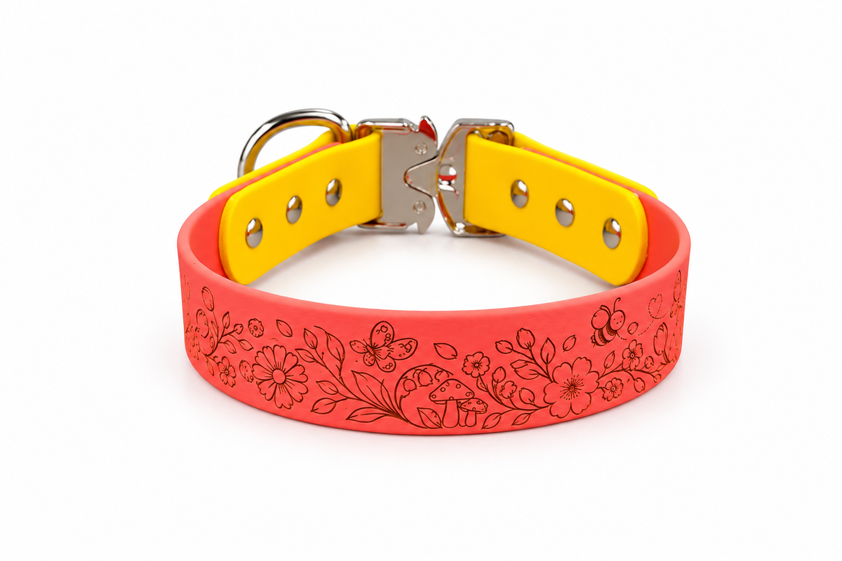 Custom Biothane Laser Engraved Collar