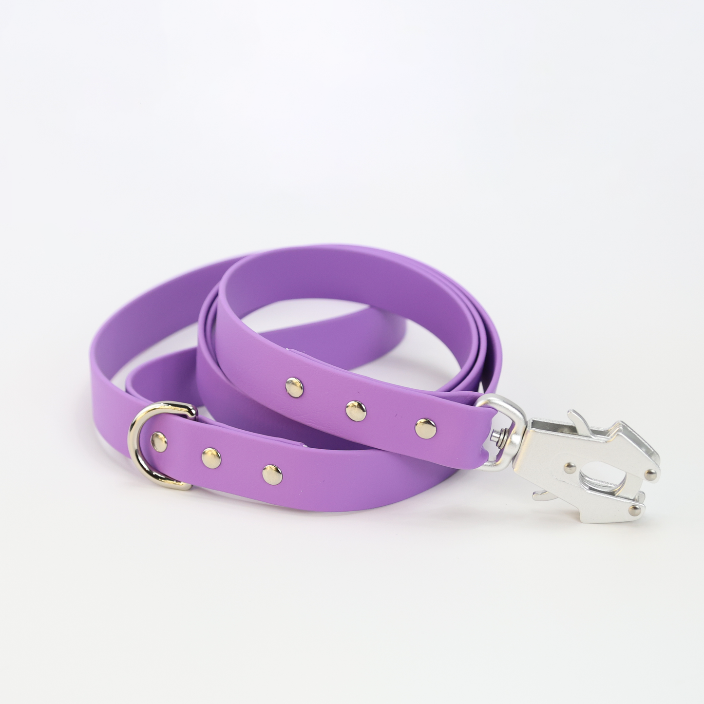 Custom BioThane® Leash