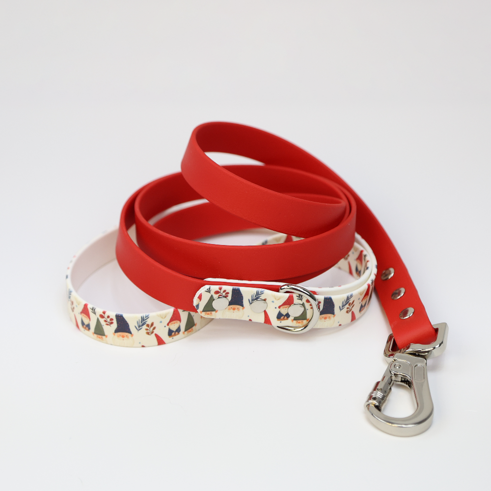 Custom Biothane Everyday Leash